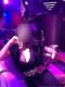   LUXE. NEW. , , +7 (913) ***-2932