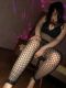   ,  +7 (983) ***-6429