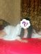   , , +7 (913) ***-4734