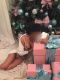   ELITE GIRL. ,  +7 (913) ***-8266
