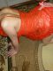   , , +7 (952) ***-3570