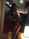   @vip, , +7 (913) ***-9749