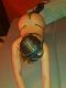   Alena NEW,  +7 (913) ***-1804