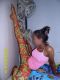    , , +7 (983) ***-0764