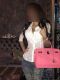   VIP@Exsclusive. ,  +7 (913) ***-3135