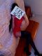   , , +7 (913) ***-1256